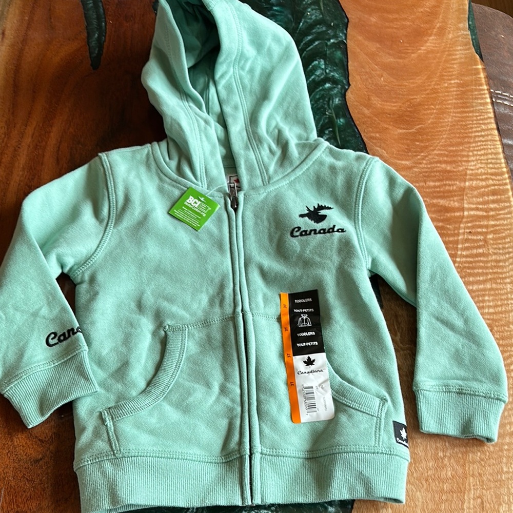 Mint Green Zip-Up Hoodie with Fleece Material